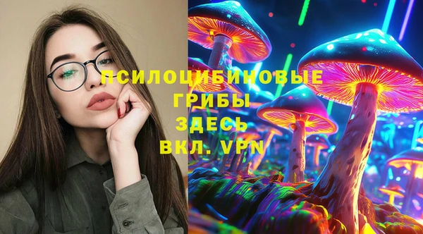 сатива Балахна
