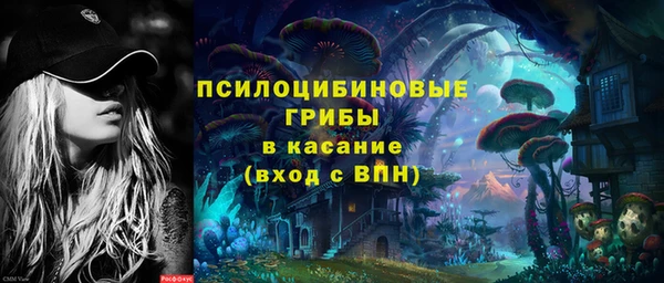 сатива Балахна